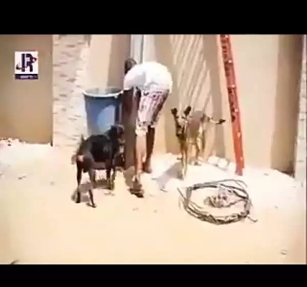 Funny Video: Nepa Workers in Big Gobe!